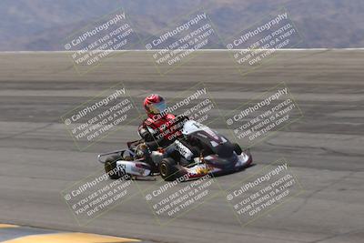 media/Mar-29-2025-Pro Autosports (Sat) [[89b1c017ad]]/6-Purple Group/Session 2 (Bowl)/